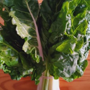 Organic Swiss chard from the Garden Route